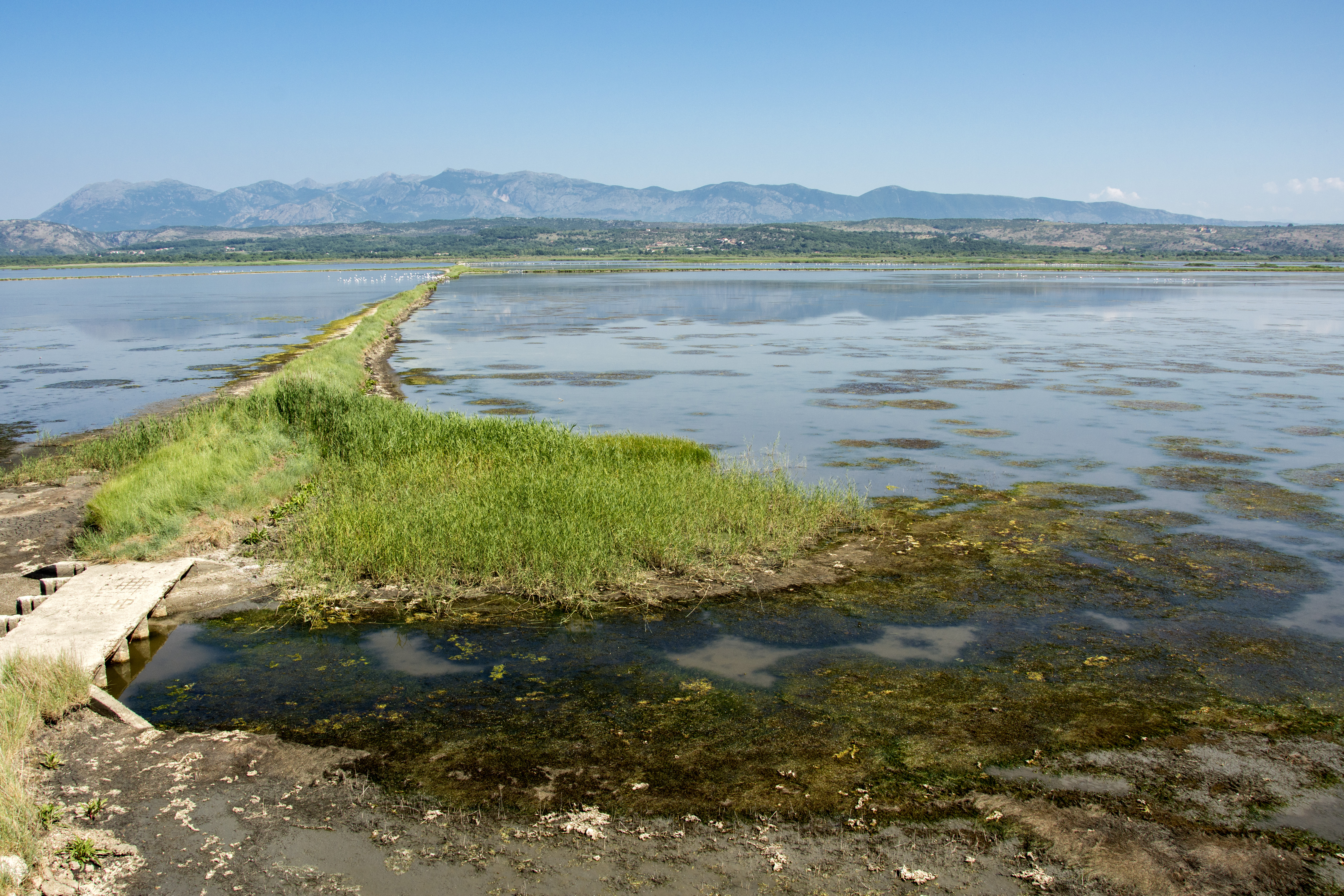 Flooded basins at Ulcinj Solana